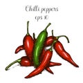 Hand drawn chilli peppers in color Royalty Free Stock Photo
